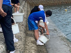 放流実施報告