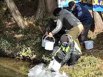 放流実施報告