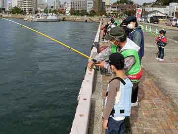 釣り体験教室 実施報告