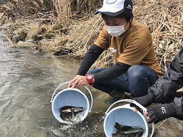 放流実施報告