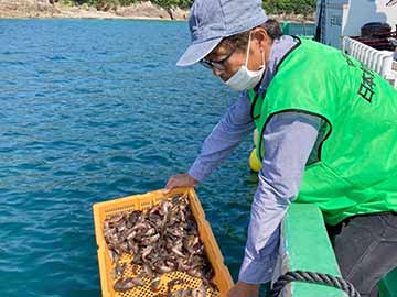 放流実施報告