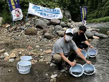 放流実施報告