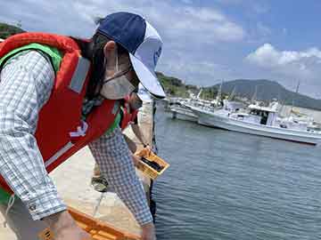 放流実施報告