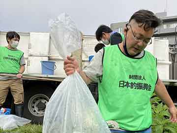 放流実施報告