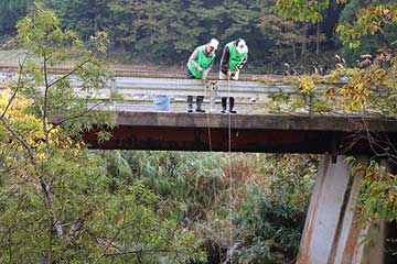 放流実施報告