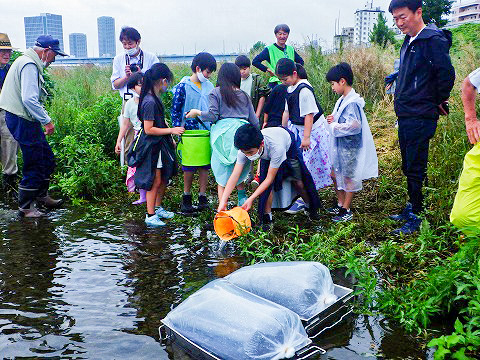 放流実施報告