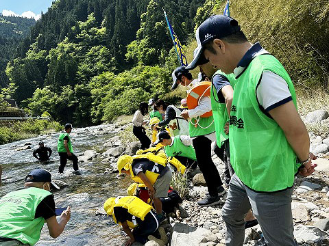 放流実施報告