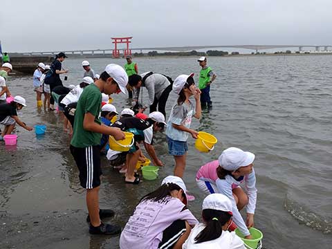 放流実施報告