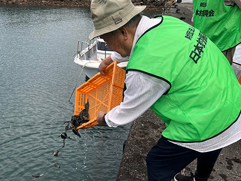 放流実施報告