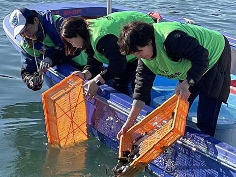 放流実施報告