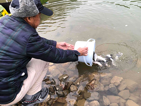 放流実施報告