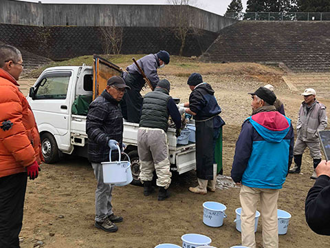 放流実施報告