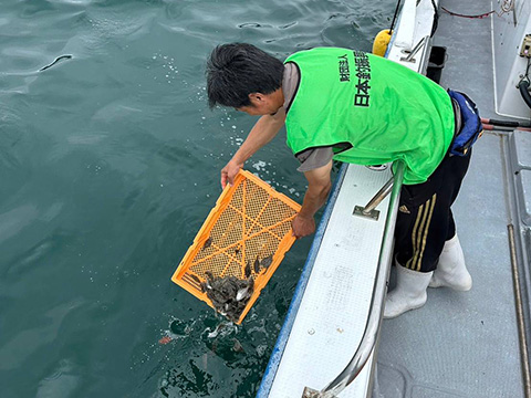 放流実施報告