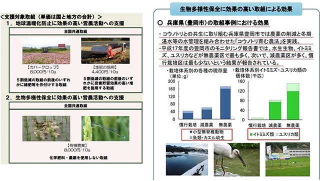 図表