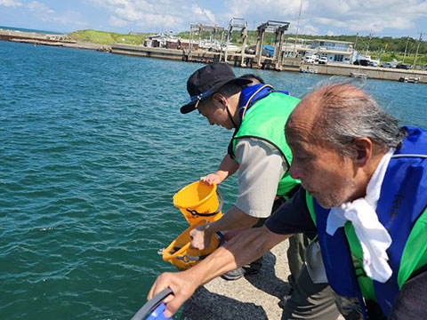 放流実施報告