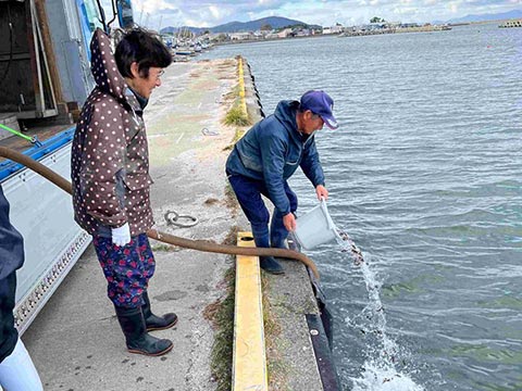 放流実施報告