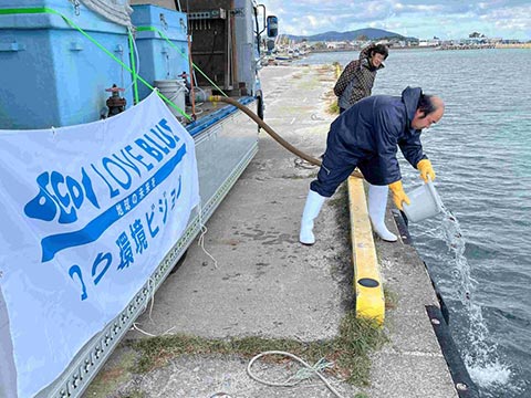 放流実施報告