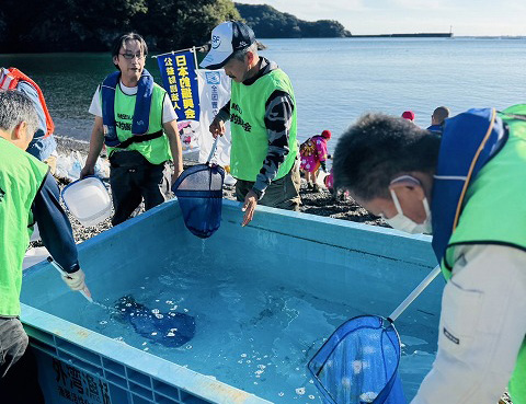 放流実施報告